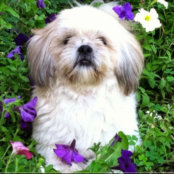 Meet your Posher, Judith - Picture 1 of 1